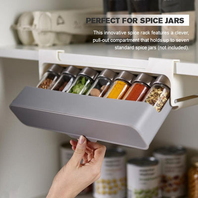 Kitchen Wall-Mounted Spice Organizer